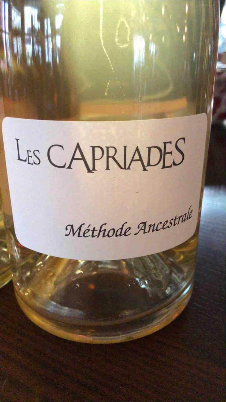 Les Capriades - Les Capriades - Pascal Potaire & Moses Gadouche 
