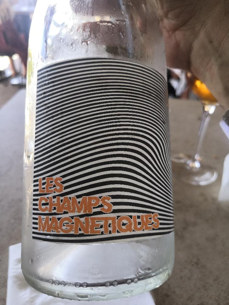 Les Champs Magnetiques 2020 - Val de Combrès - Valentin L. 