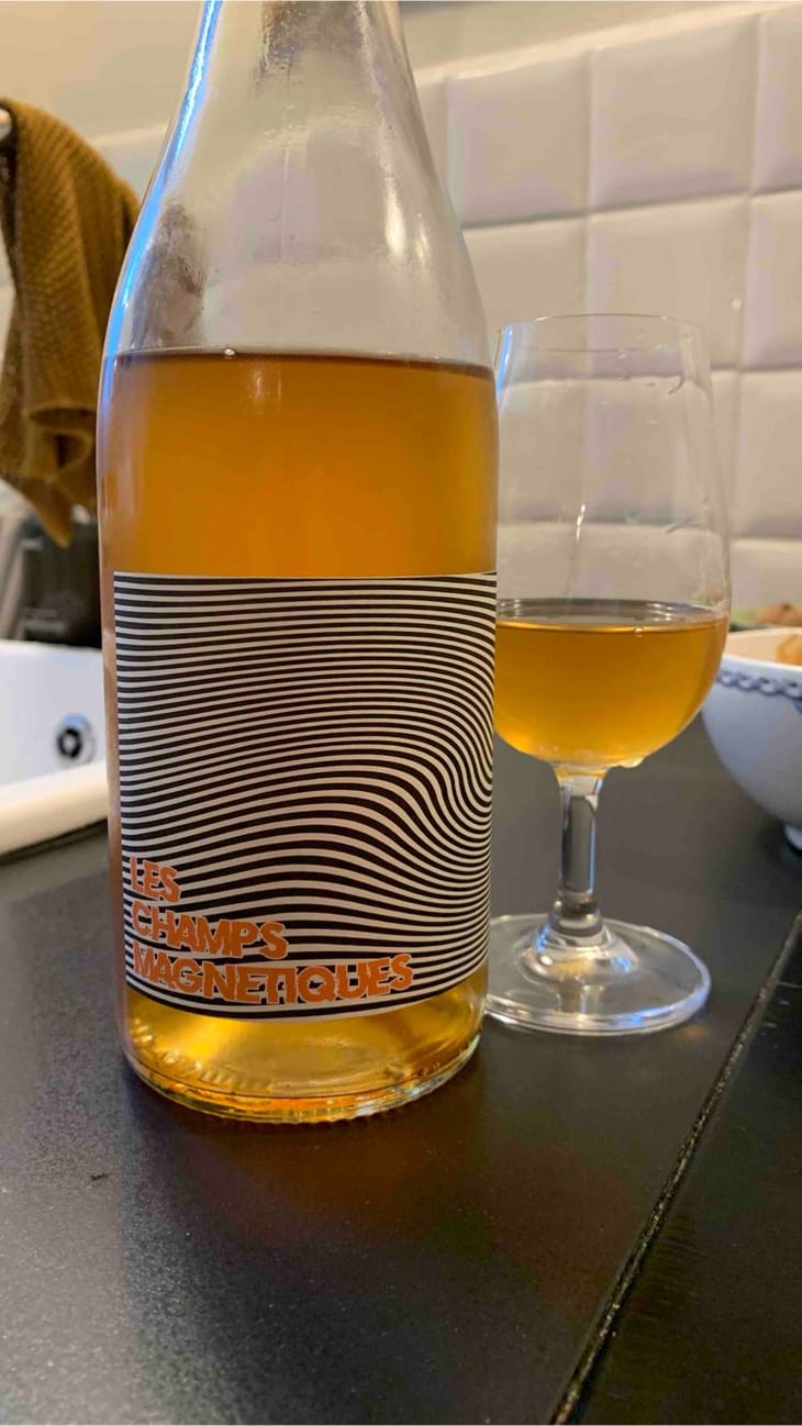 Les Champs Magnetiques 2020 - Val de Combrès - Valentin L. 