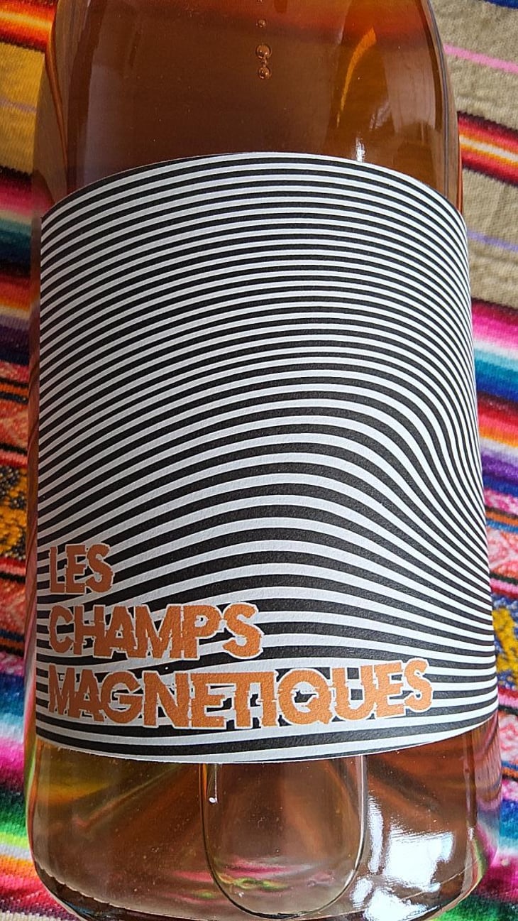 Les Champs Magnetiques 2020 - Val de Combrès - Valentin L. 