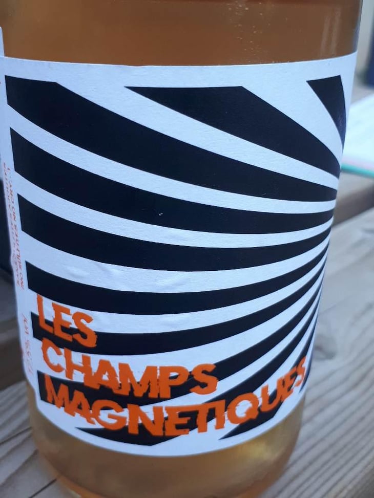 Les Champs Magnetiques 2020 - Val de Combrès - Valentin L. 