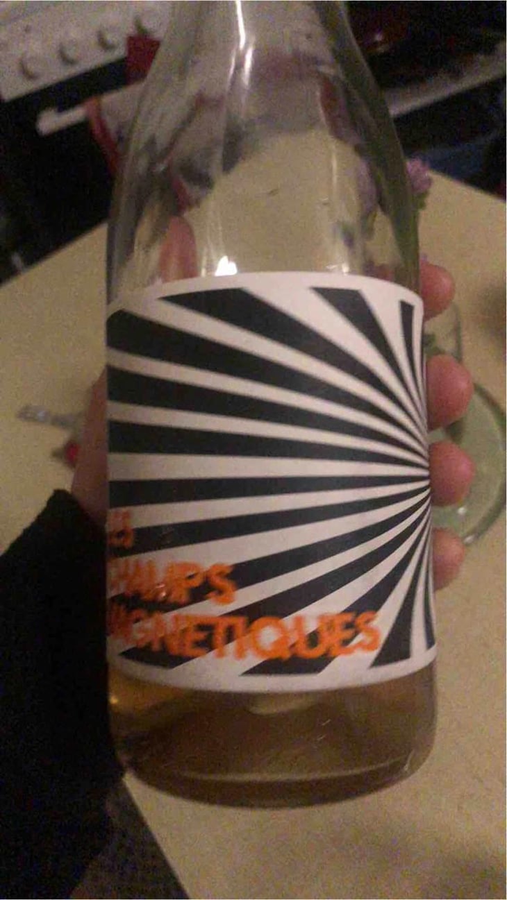 Les Champs Magnetiques 2020 - Val de Combrès - Valentin L. 