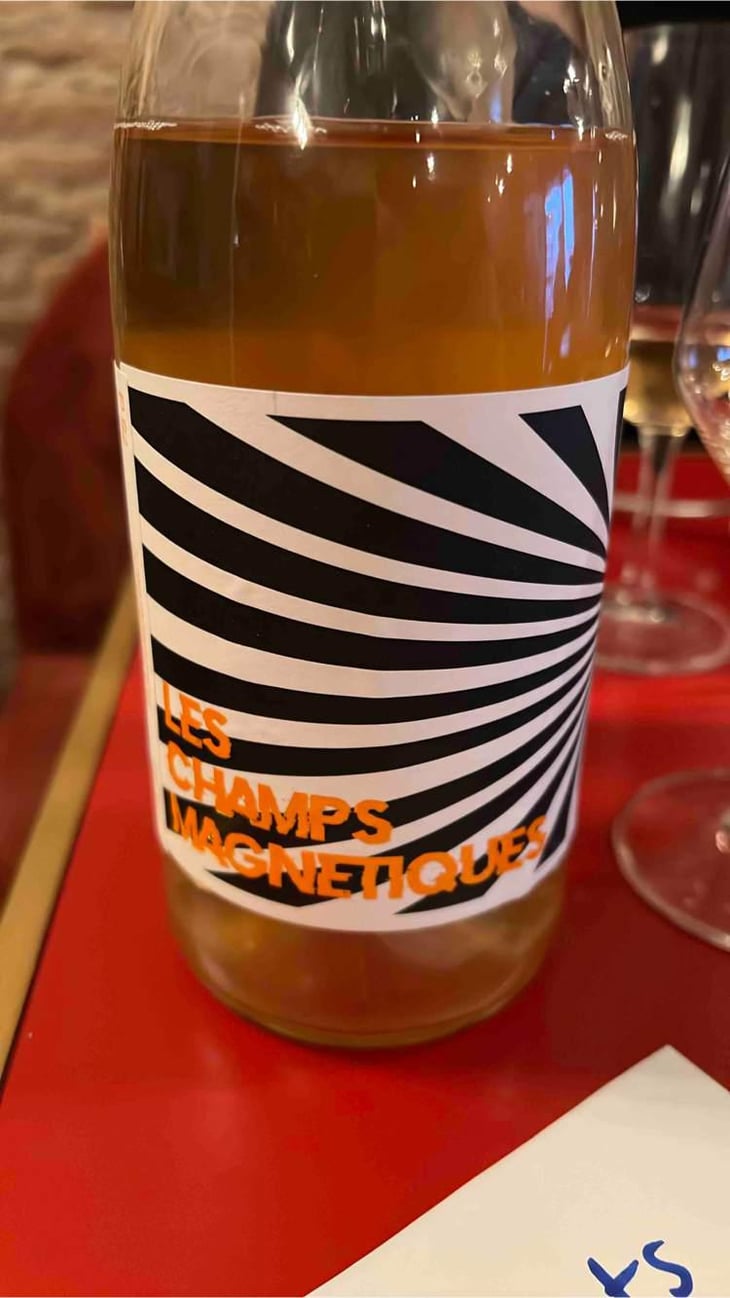 Les Champs Magnetiques 2020 - Val de Combrès - Valentin L. 