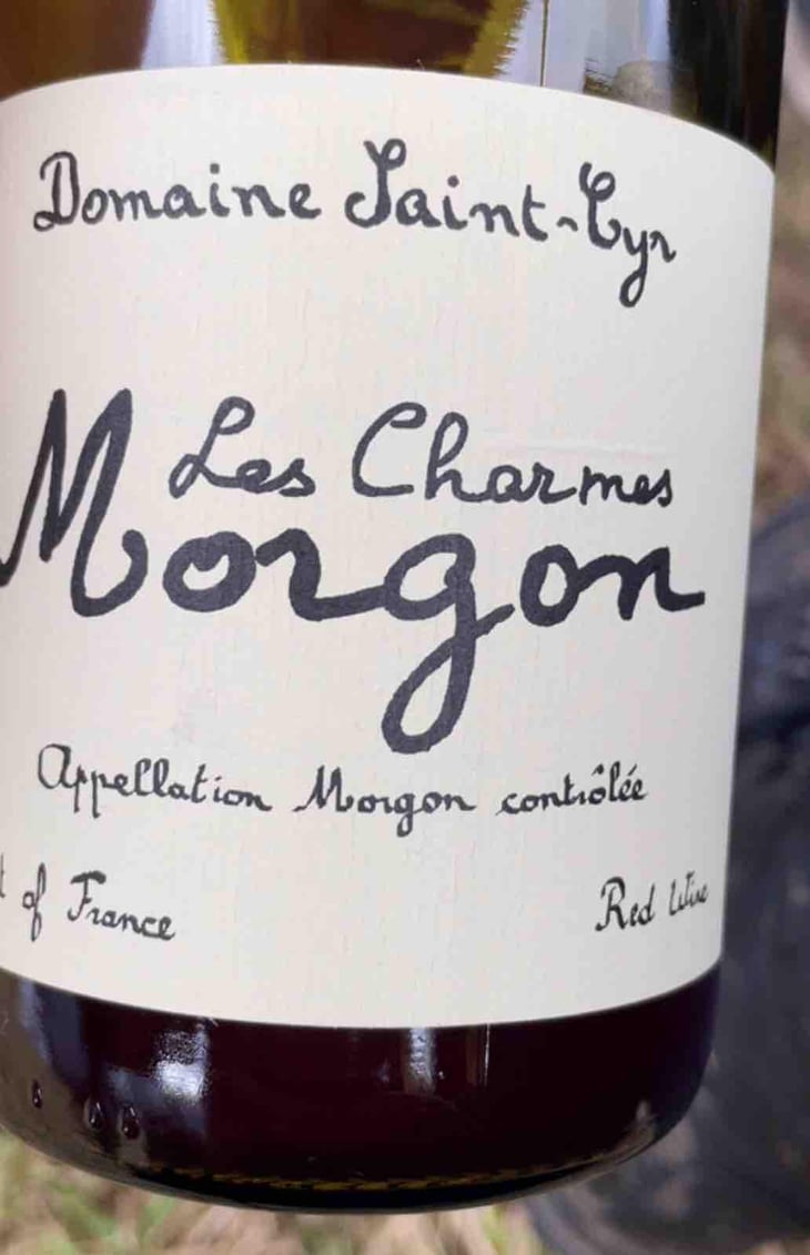 Les Charmes - Domaine Saint-Cyr - Raphaël Saint-Cyr 
