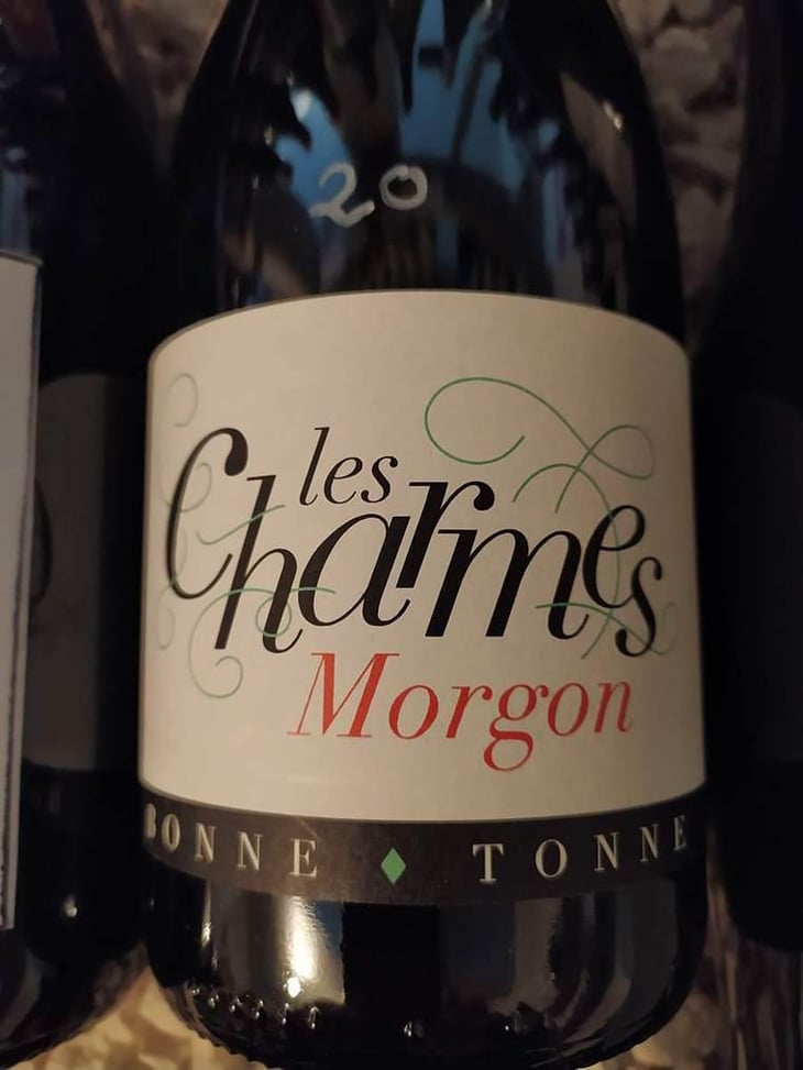 Les Charmes - Domaine de la Bonne Tonne - Thomas & Anne Laure Agatensi 