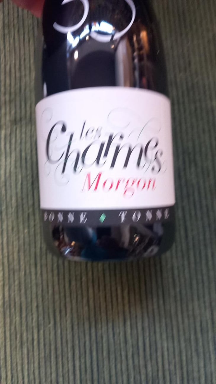 Les Charmes - Domaine de la Bonne Tonne - Thomas & Anne Laure Agatensi 
