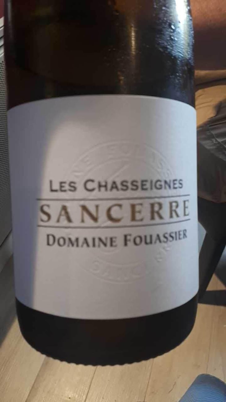 Les Chasseignes - Domaine Fouassier - Benoit & Paul Fouassier 