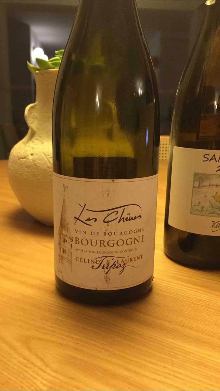 Les Chênes - Domaine Tripoz - Céline & Laurent Tripoz 