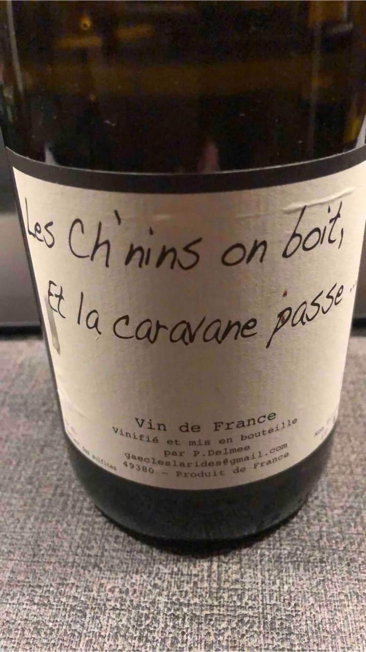 Les Ch'nins On Boit, Et La Caravane Passe - Delmée Martin - Philippe Delmée & Aurélien Martin 