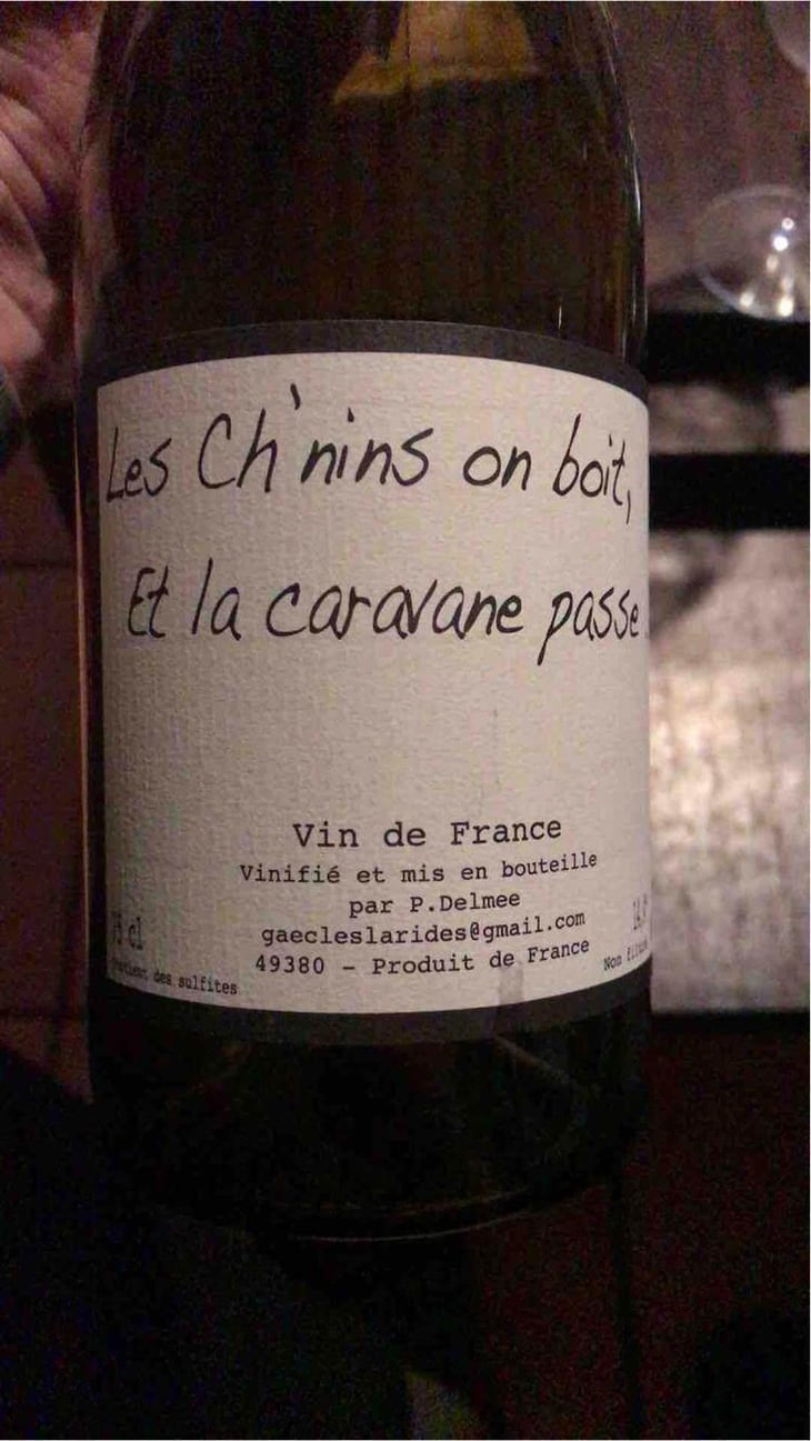 Les Ch'nins On Boit, Et La Caravane Passe - Delmée Martin - Philippe Delmée & Aurélien Martin 