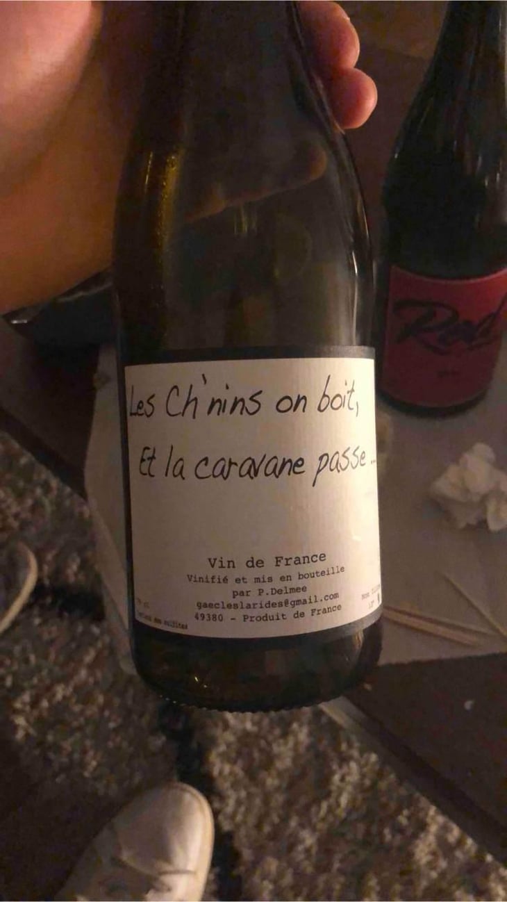 Les Ch'nins On Boit, Et La Caravane Passe - Delmée Martin - Philippe Delmée & Aurélien Martin 