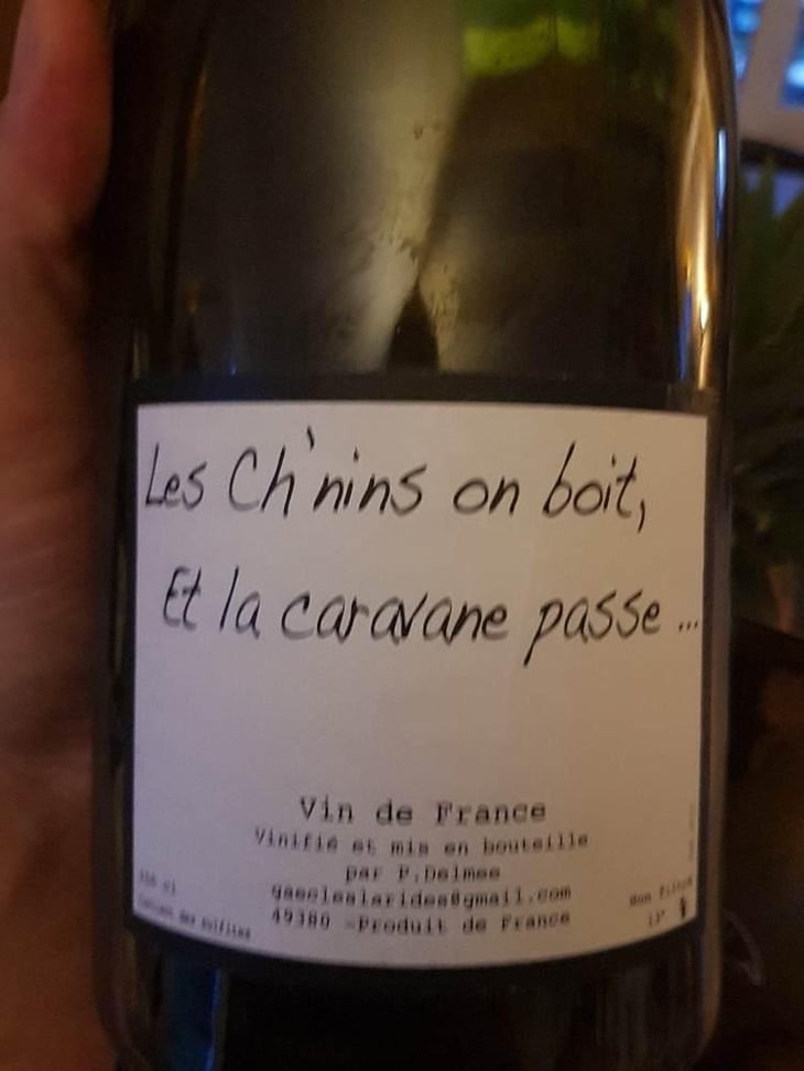 Les Ch'nins On Boit, Et La Caravane Passe - Delmée Martin - Philippe Delmée & Aurélien Martin 