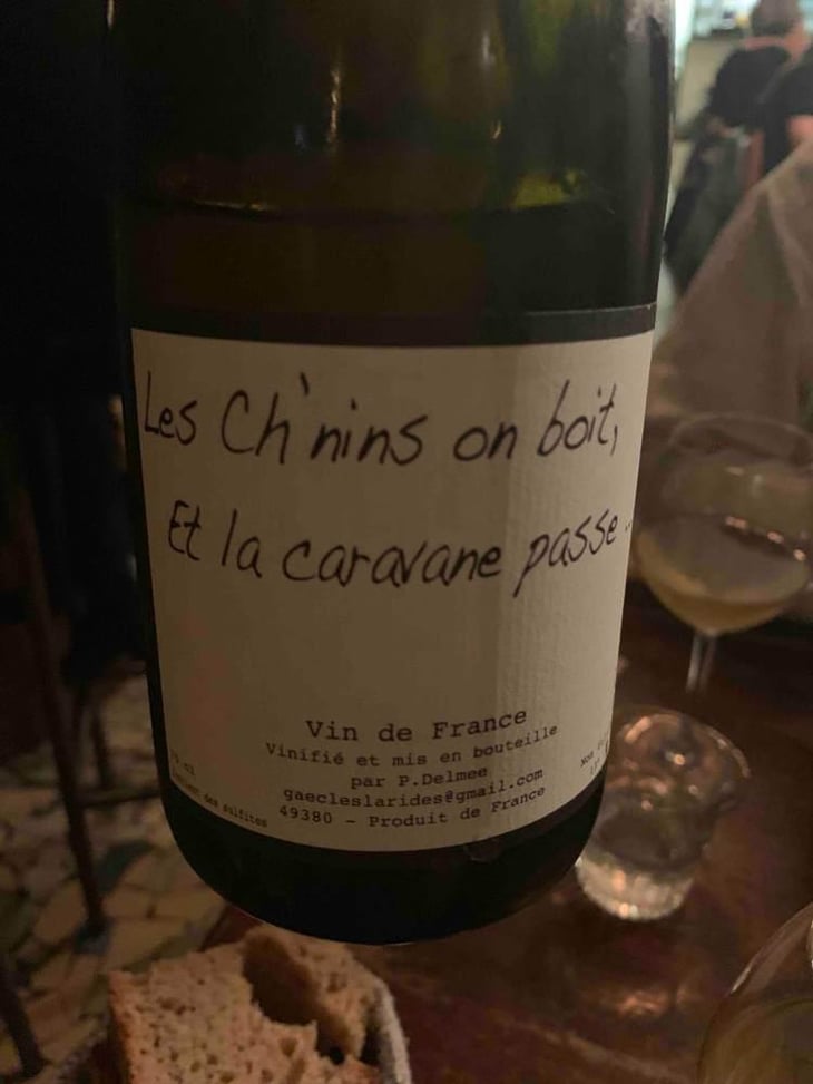 Les Ch'nins On Boit, Et La Caravane Passe - Delmée Martin - Philippe Delmée & Aurélien Martin 