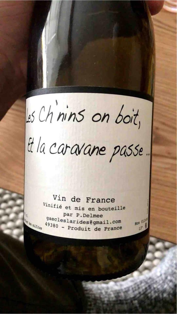 Les Ch'nins On Boit, Et La Caravane Passe - Delmée Martin - Philippe Delmée & Aurélien Martin 