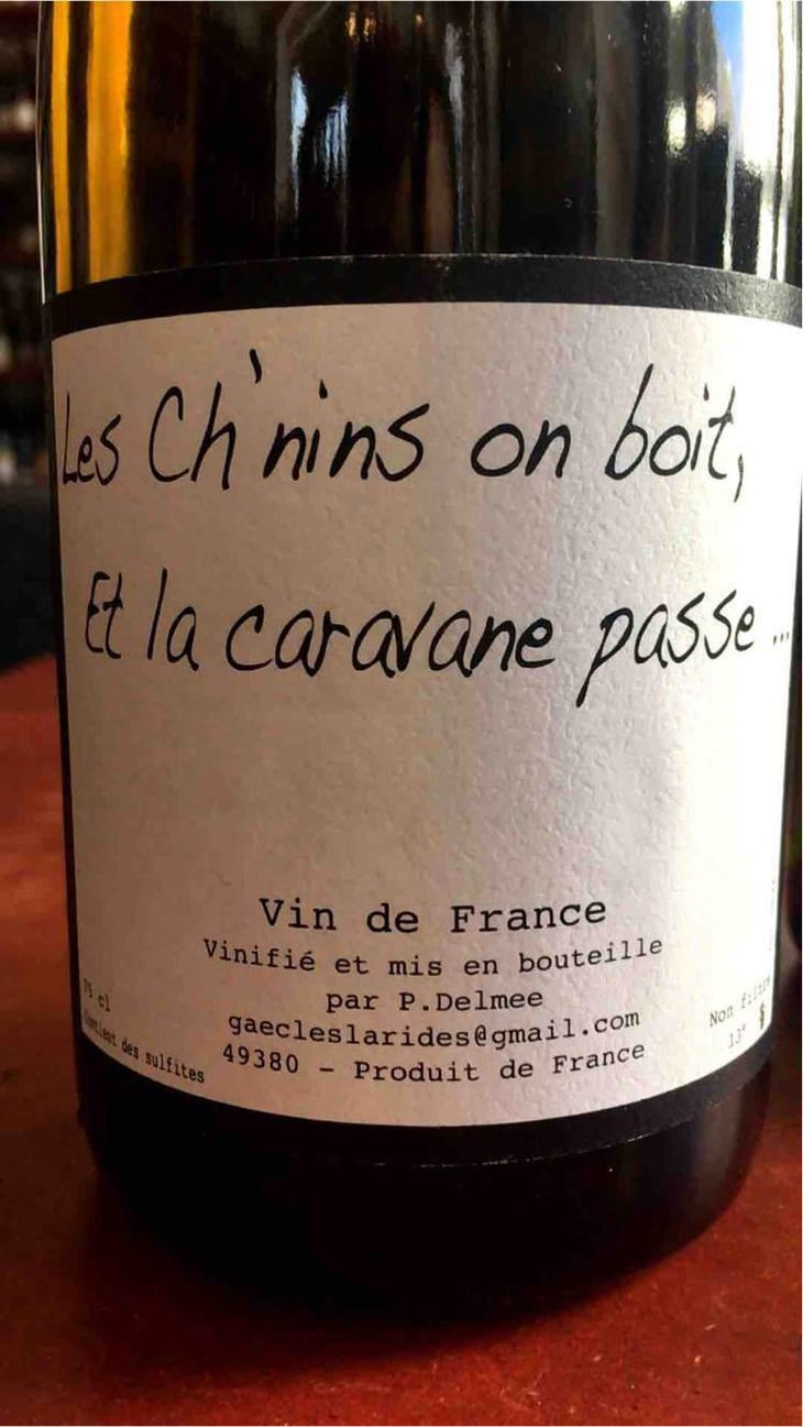 Les Ch'nins On Boit, Et La Caravane Passe - Delmée Martin - Philippe Delmée & Aurélien Martin 