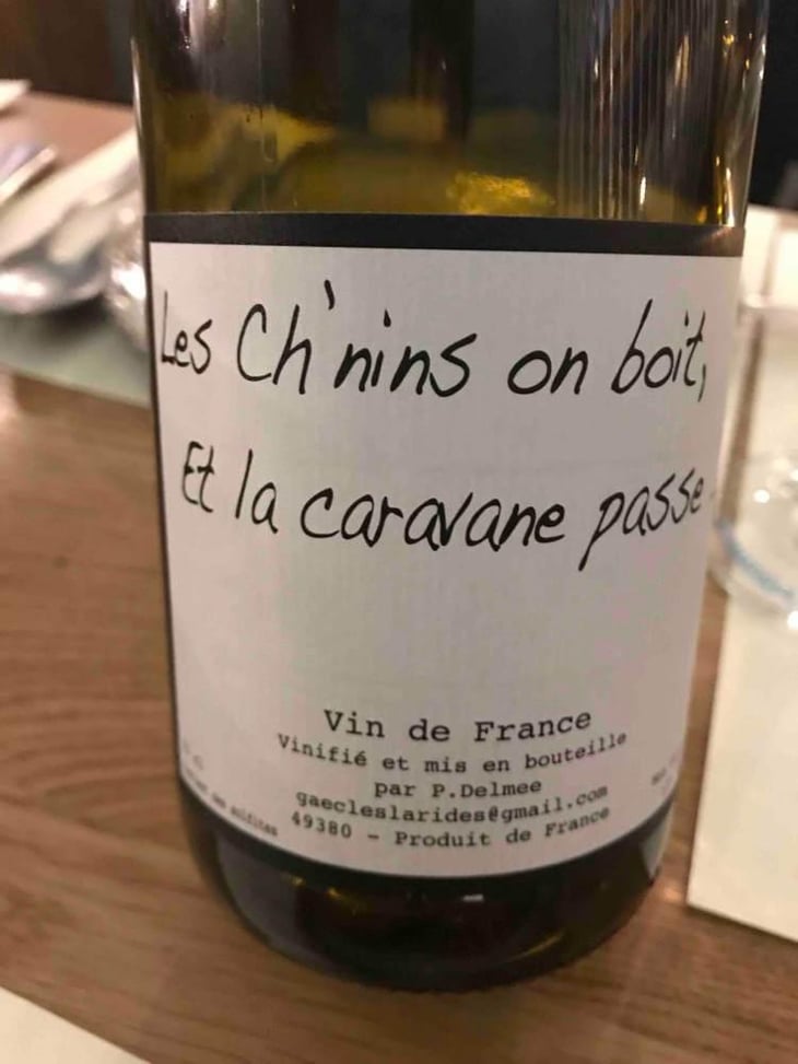 Les Ch'nins On Boit, Et La Caravane Passe - Delmée Martin - Philippe Delmée & Aurélien Martin 