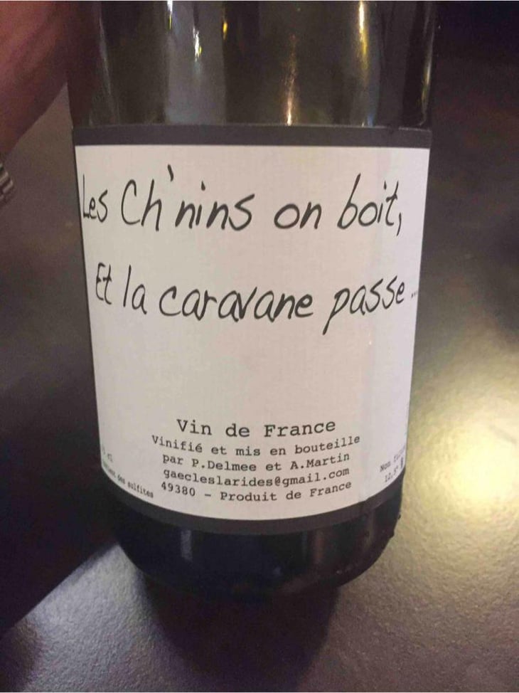 Les Ch'nins On Boit, Et La Caravane Passe - Delmée Martin - Philippe Delmée & Aurélien Martin 