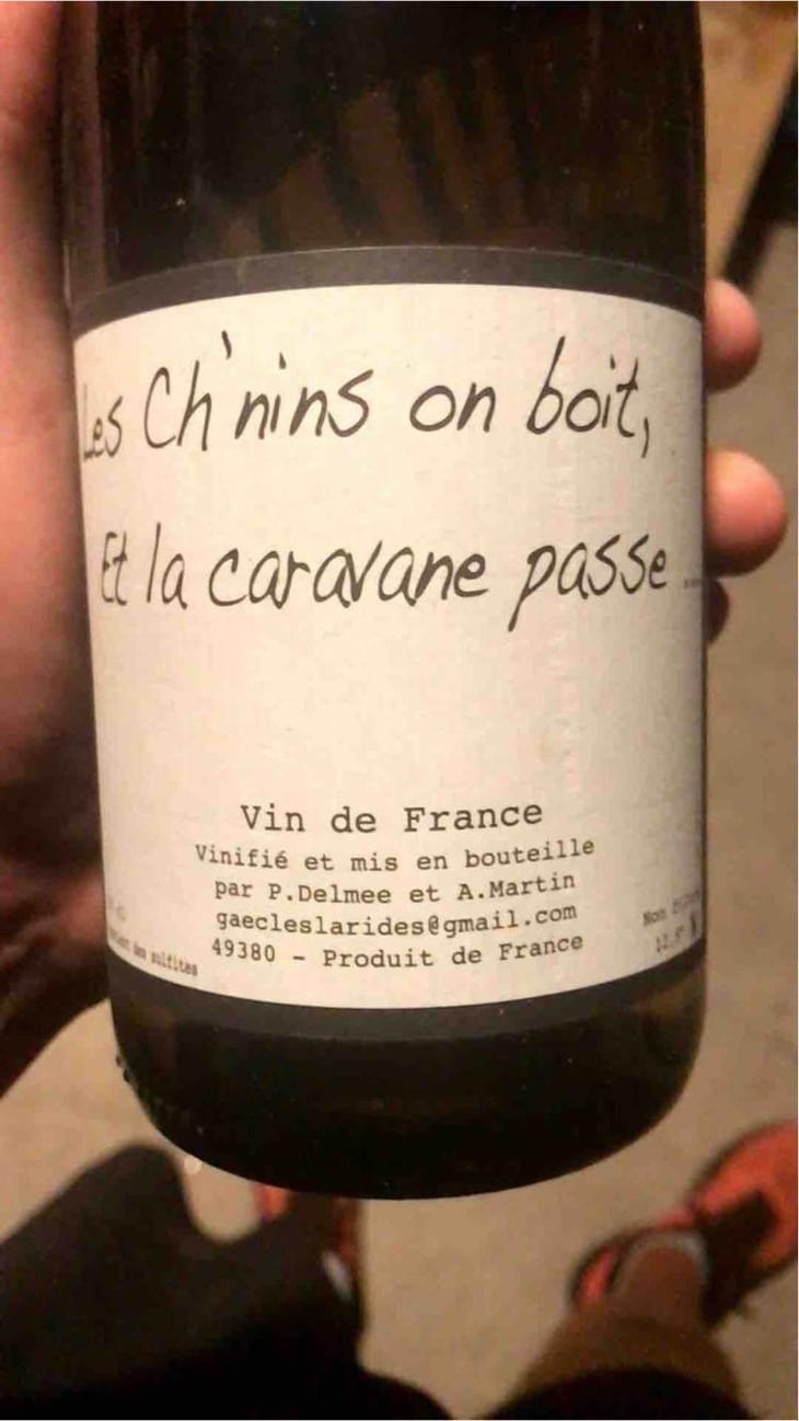 Les Ch'nins On Boit, Et La Caravane Passe - Delmée Martin - Philippe Delmée & Aurélien Martin 