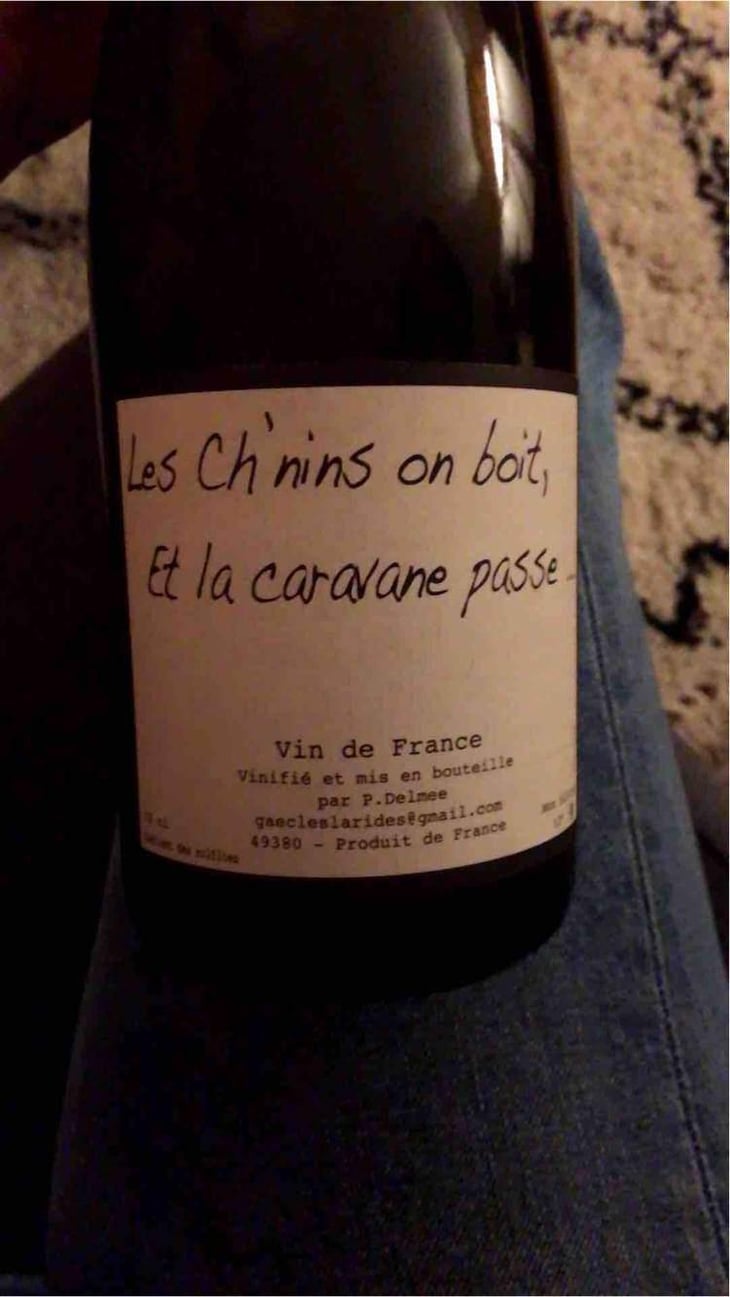 Les Ch'nins On Boit, Et La Caravane Passe - Delmée Martin - Philippe Delmée & Aurélien Martin 