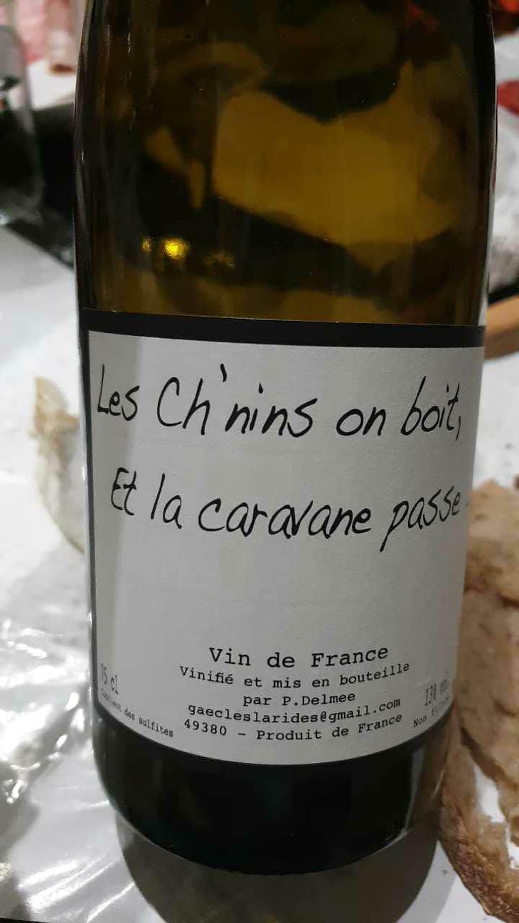Les Ch'nins On Boit, Et La Caravane Passe - Delmée Martin - Philippe Delmée & Aurélien Martin 