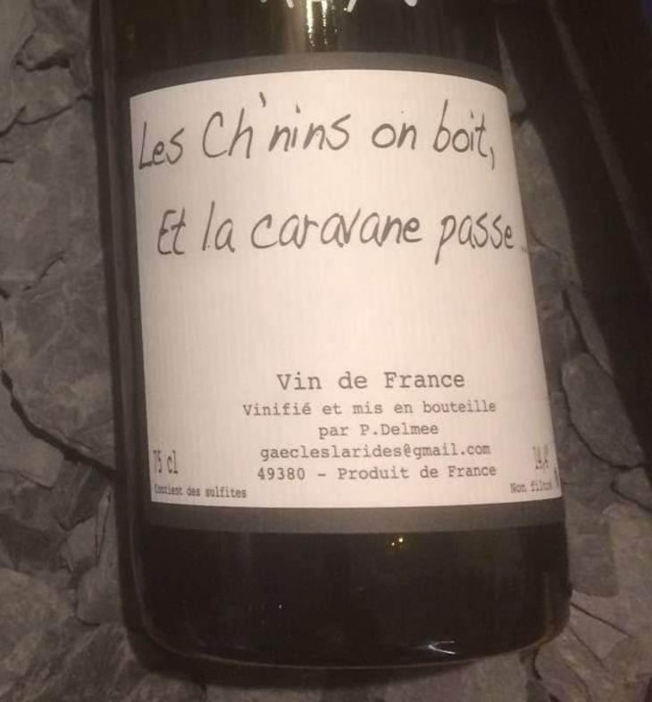 Les Ch'nins On Boit, Et La Caravane Passe - Delmée Martin - Philippe Delmée & Aurélien Martin 