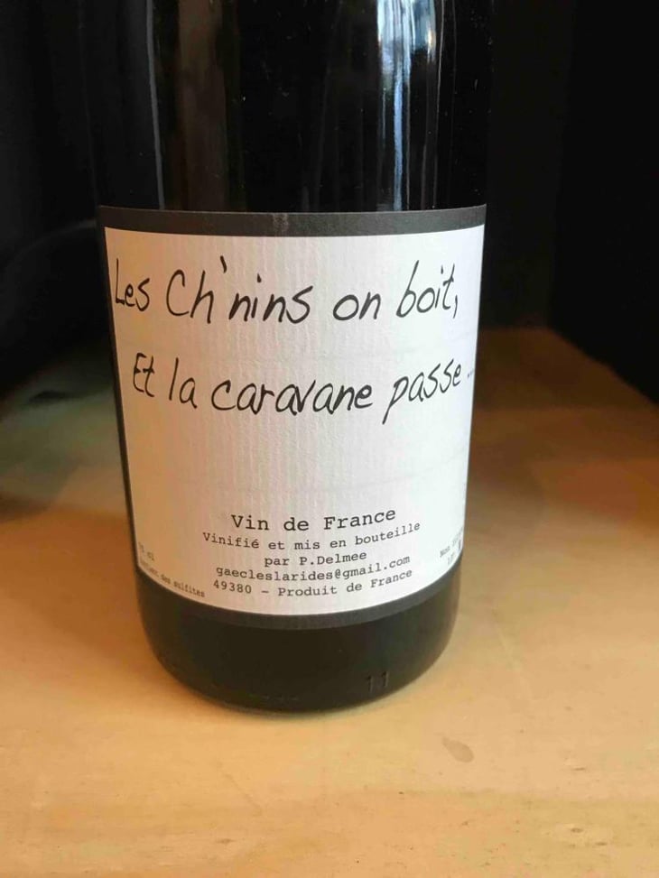 Les Ch'nins On Boit, Et La Caravane Passe - Delmée Martin - Philippe Delmée & Aurélien Martin 