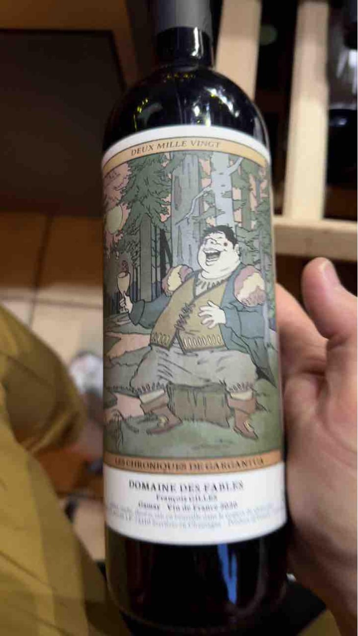 Les Chroniques De Gargantua - Domaine des Fables - François Gilles 