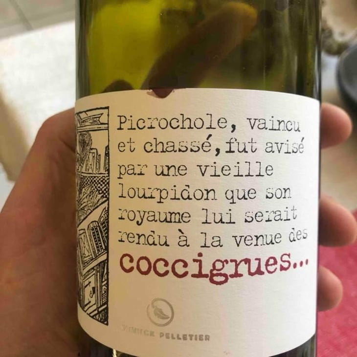 Les Coccigrues - Domaine Yannick Pelletier - Yannick Pelletier 