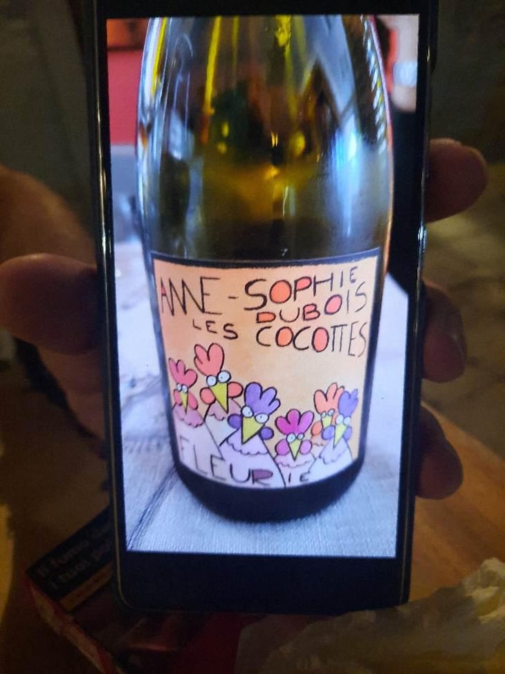 Les Cocottes - Anne-Sophie Dubois - Anne-Sophie Dubois 