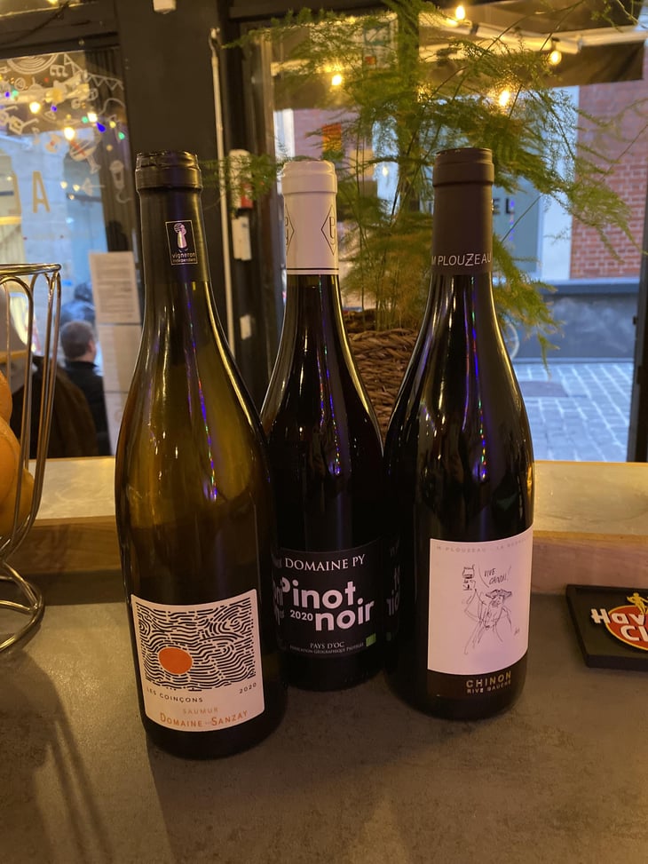 Les Coinçons - Domaine Des Sanzay - Céline & Didier Sanzay 