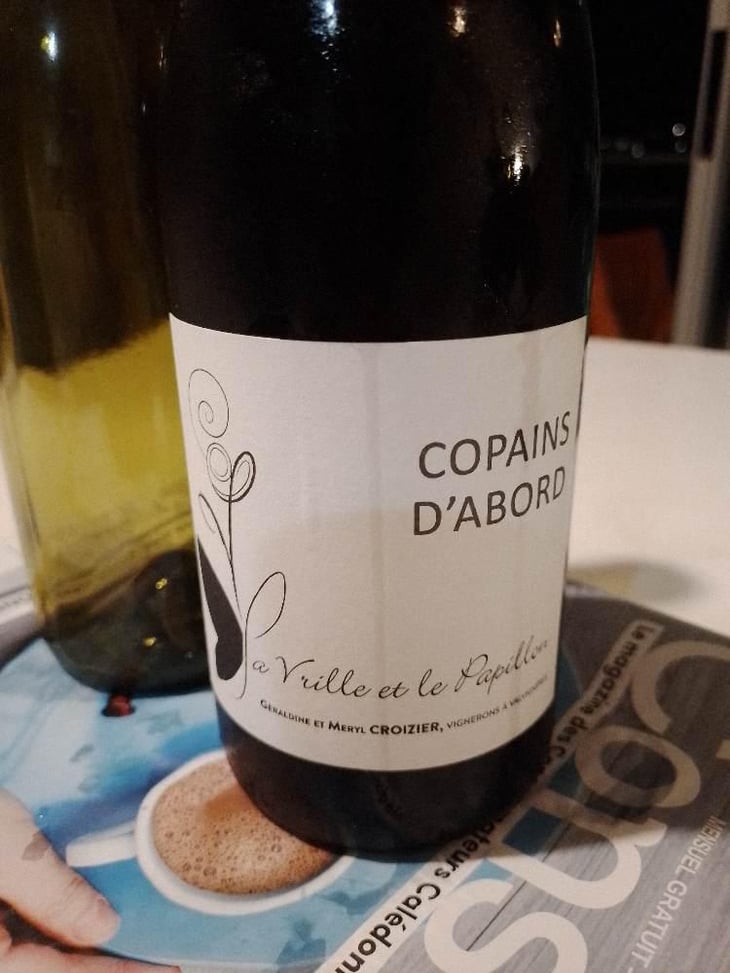 Copains d'abord - La Vrille et le Papillon - Géraldine & Méryl Croizier -2021