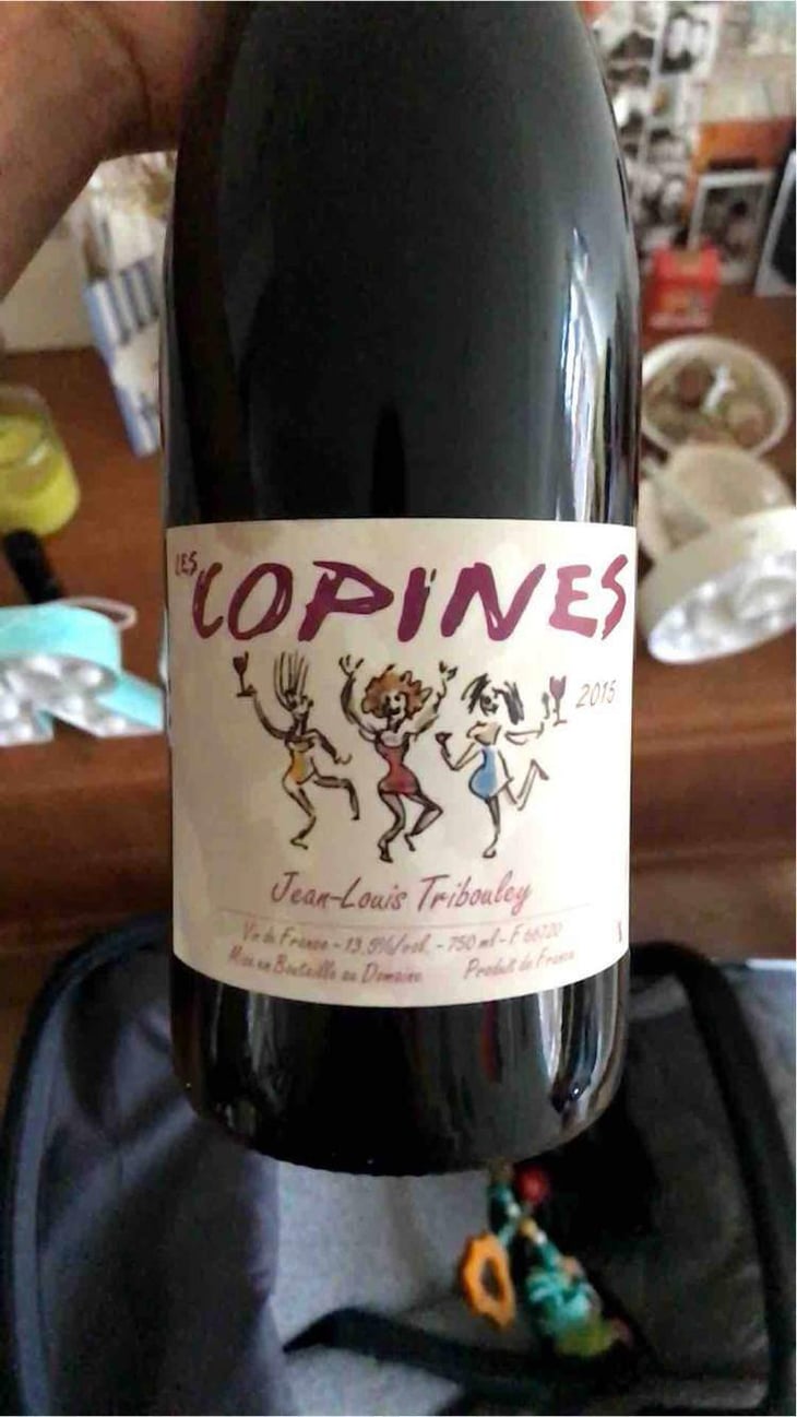 Les Copines - Tribouley - Jean-Louis Tribouley 
