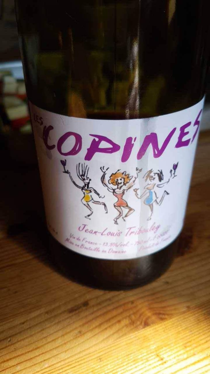 Les Copines - Tribouley - Jean-Louis Tribouley 