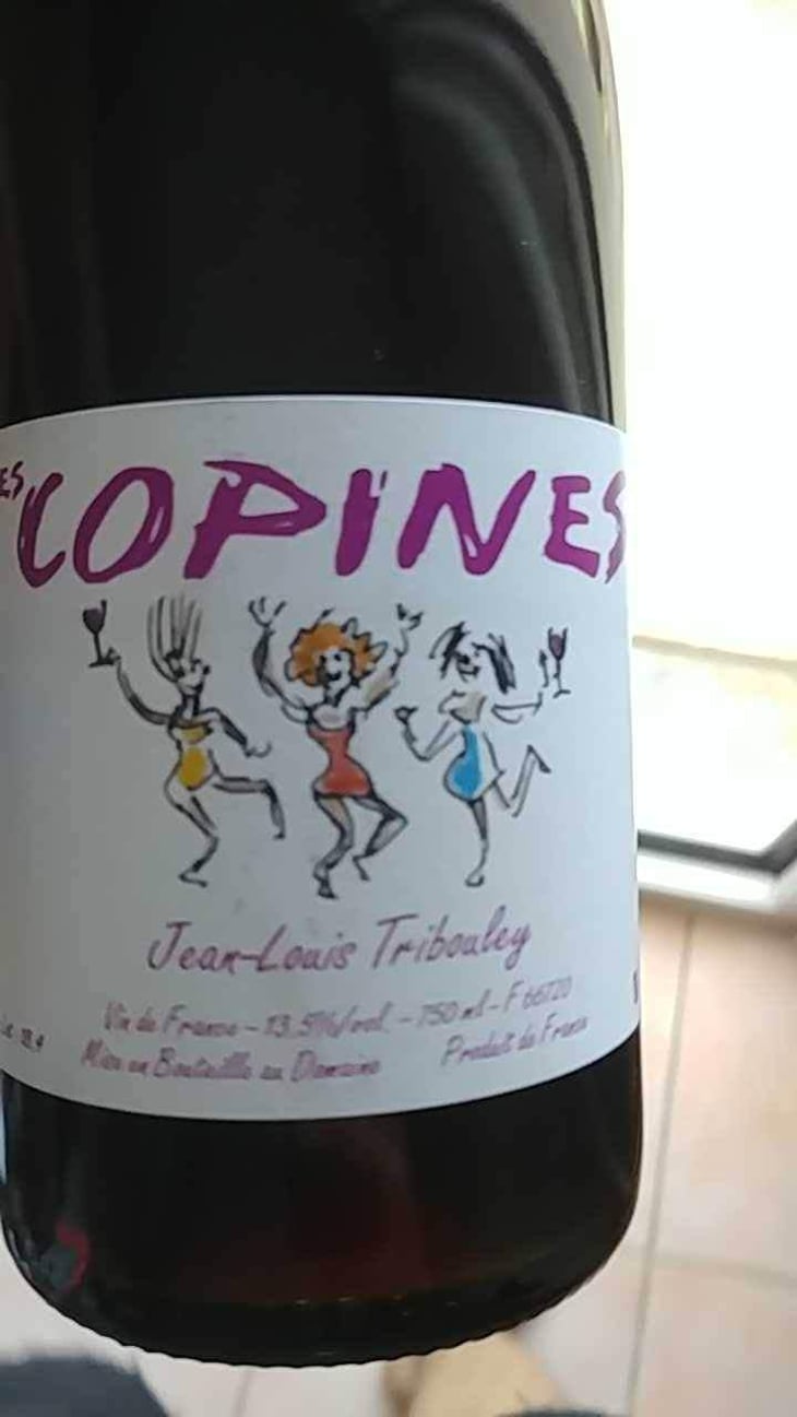 Les Copines - Tribouley - Jean-Louis Tribouley 