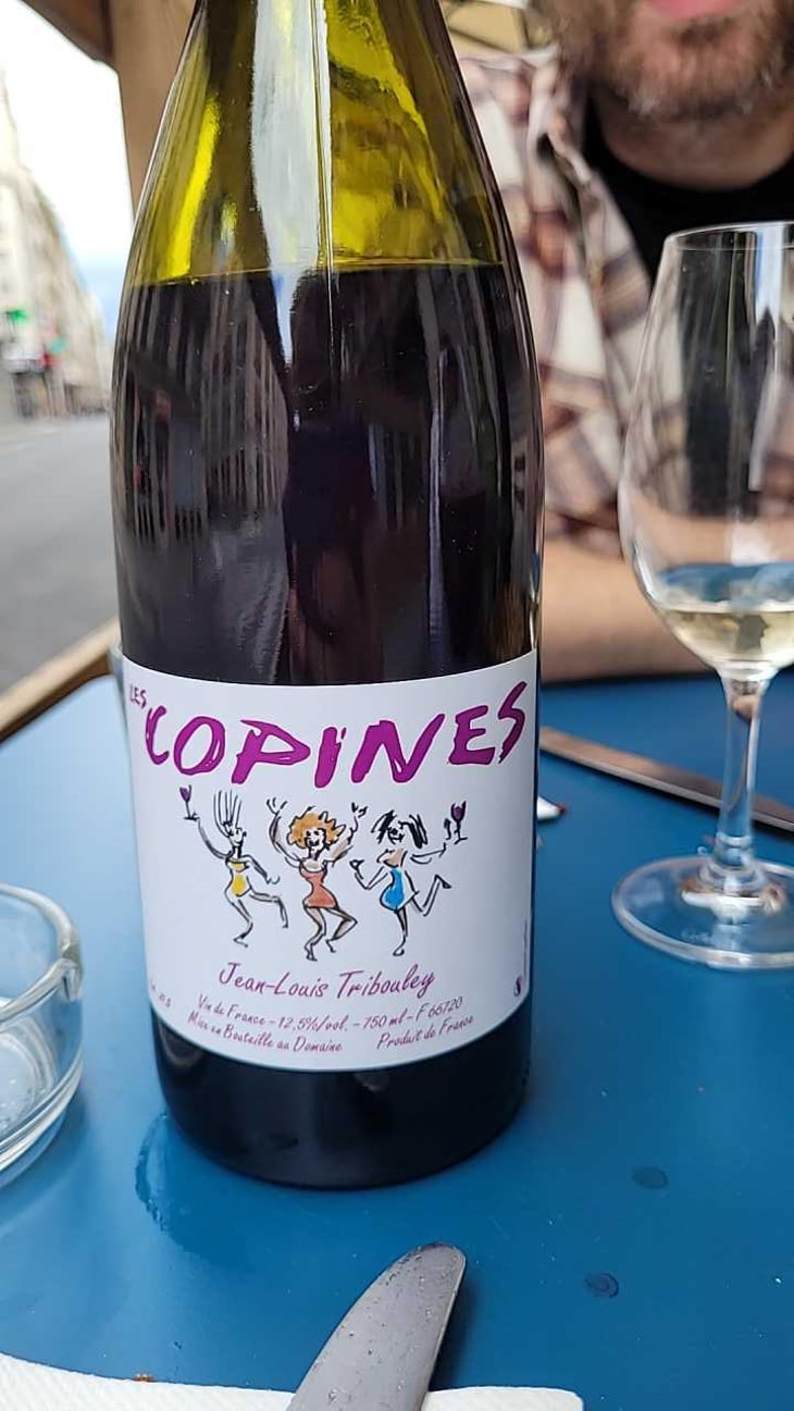 Les Copines - Tribouley - Jean-Louis Tribouley 