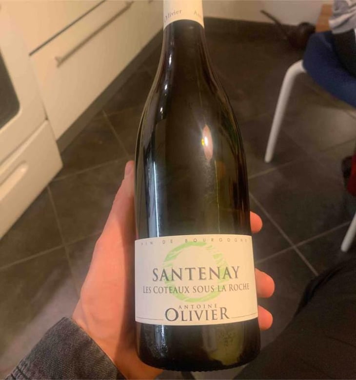 Les Coteaux Sous La Roche - Domaine Antoine Olivier - Antoine Olivier 
