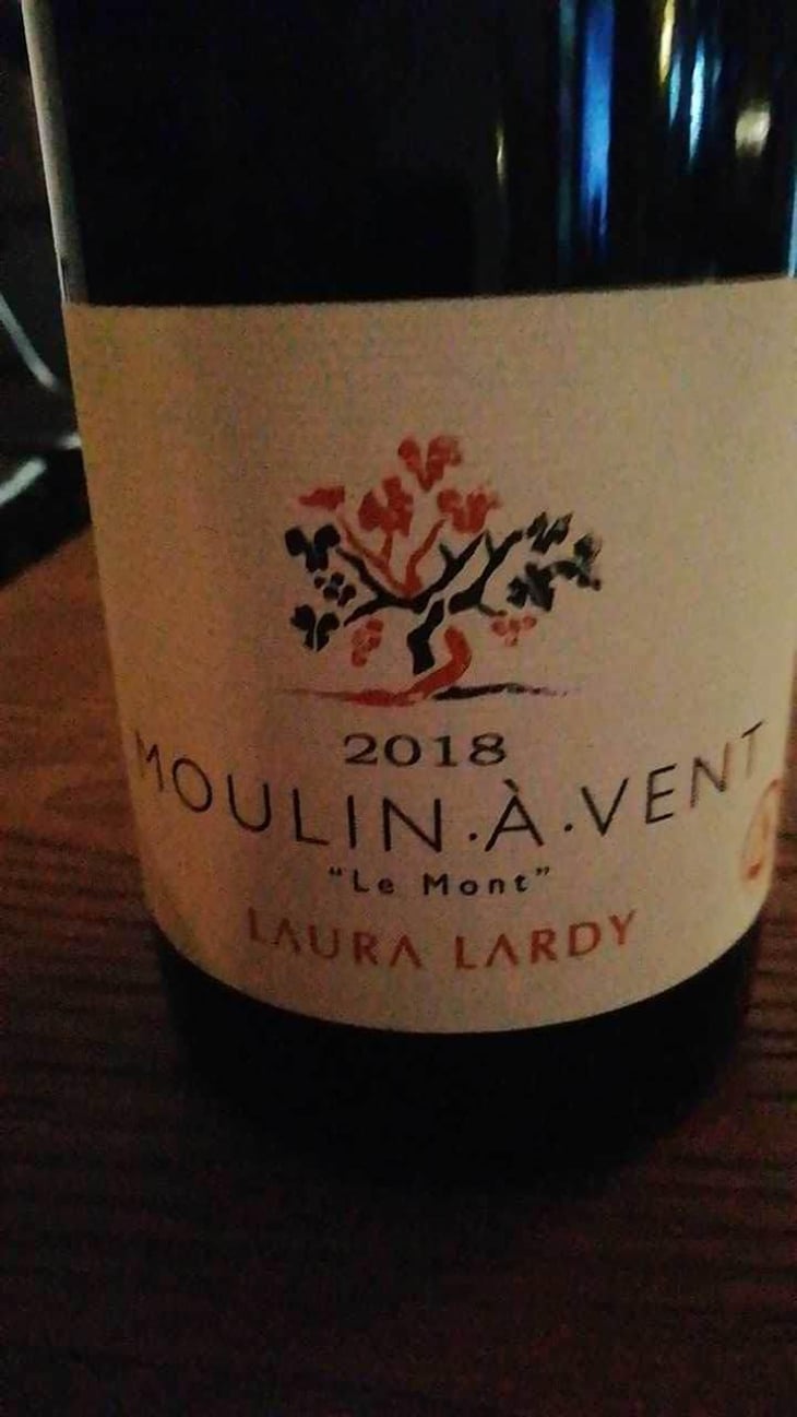 Les Côtes - Domaine Laura Lardy - Laura Lardy 
