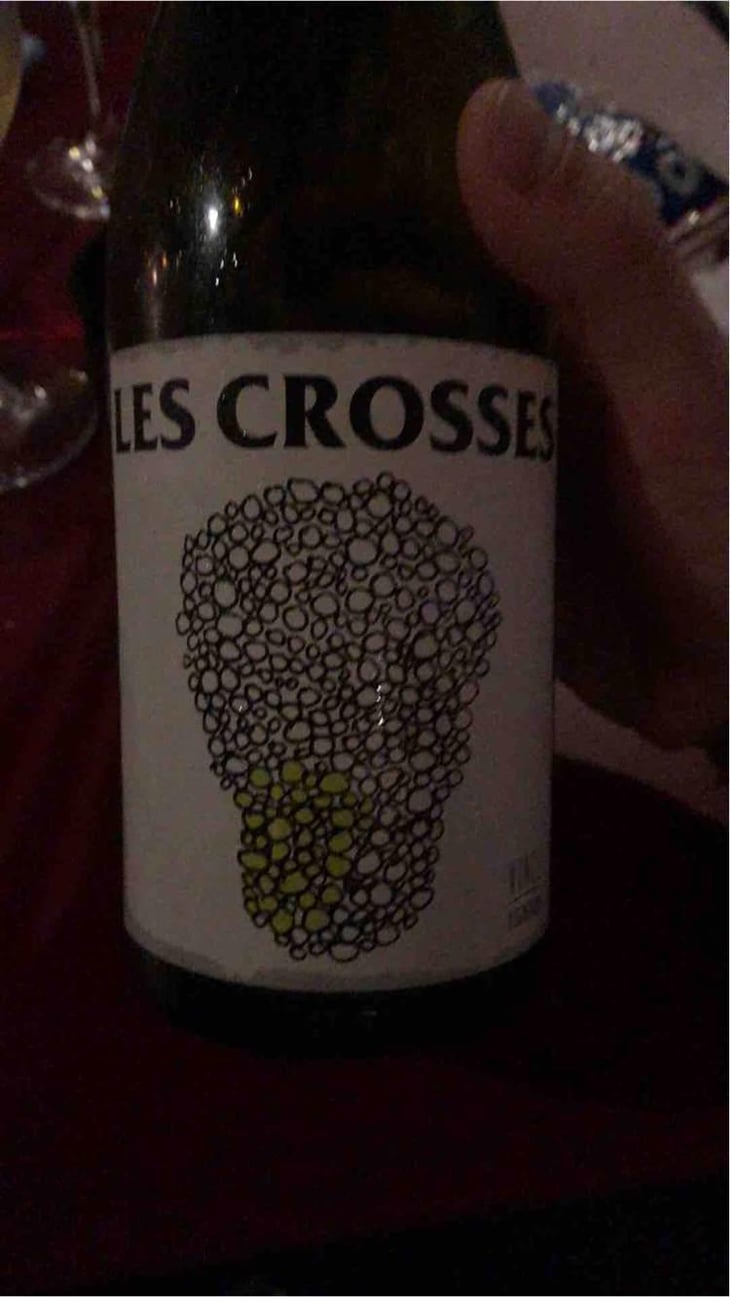 Les Crosses - No Control - Vincent Marie 