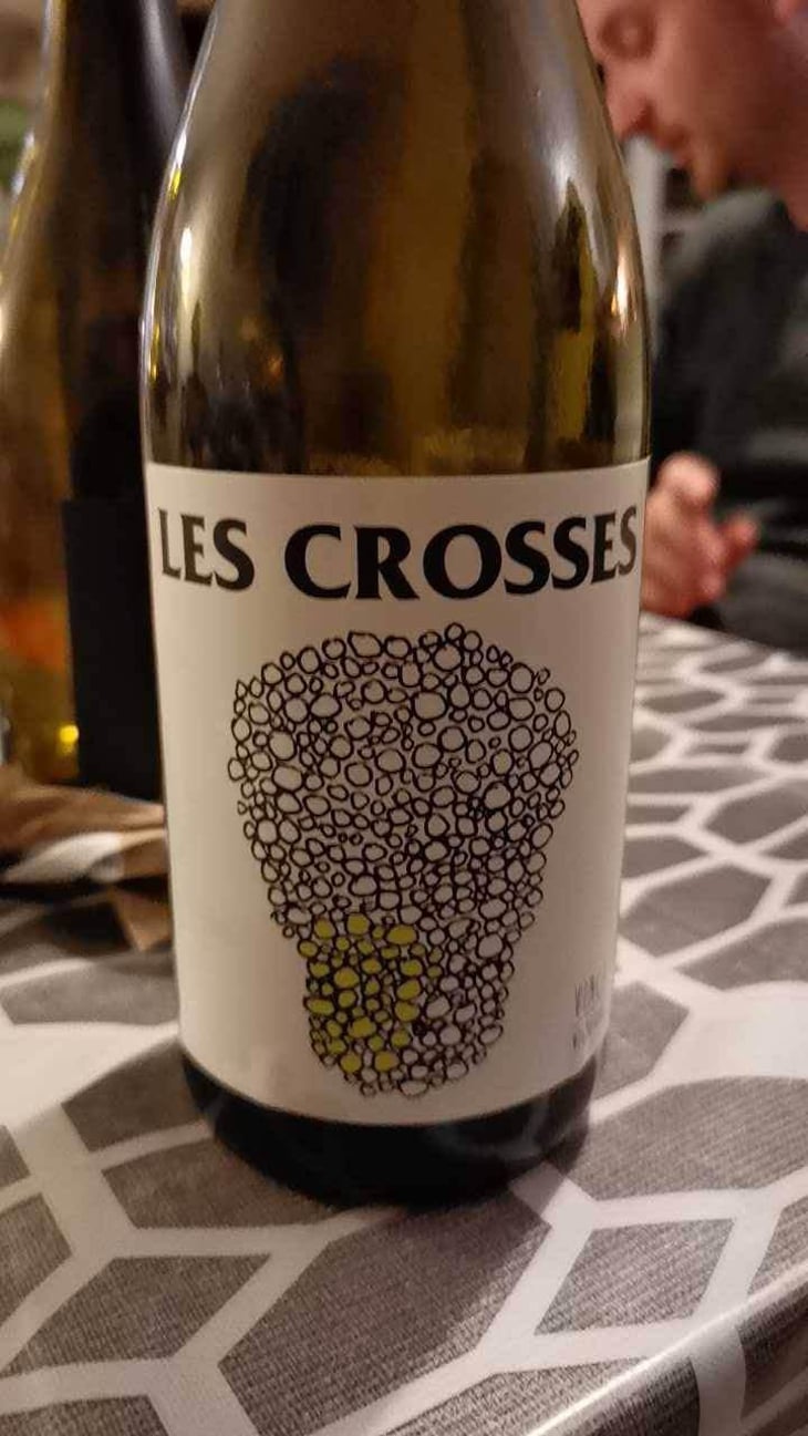 Les Crosses - No Control - Vincent Marie 