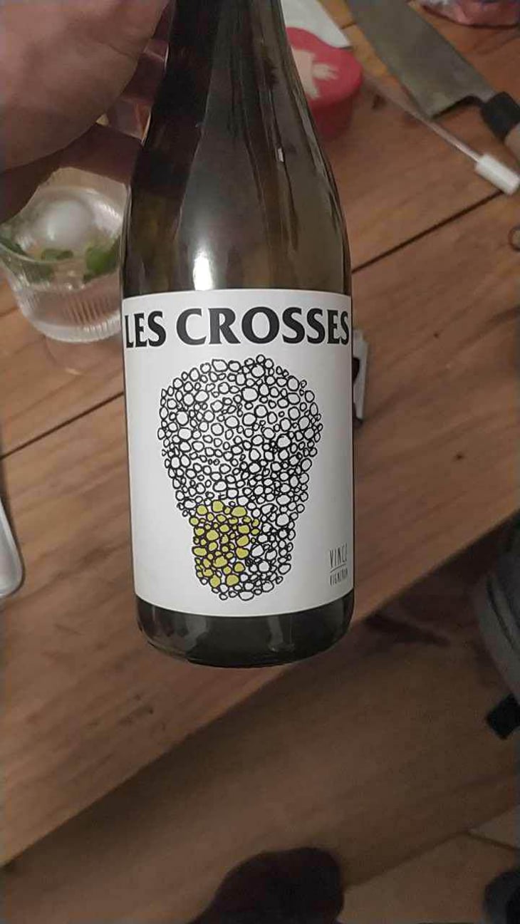 Les Crosses - No Control - Vincent Marie 