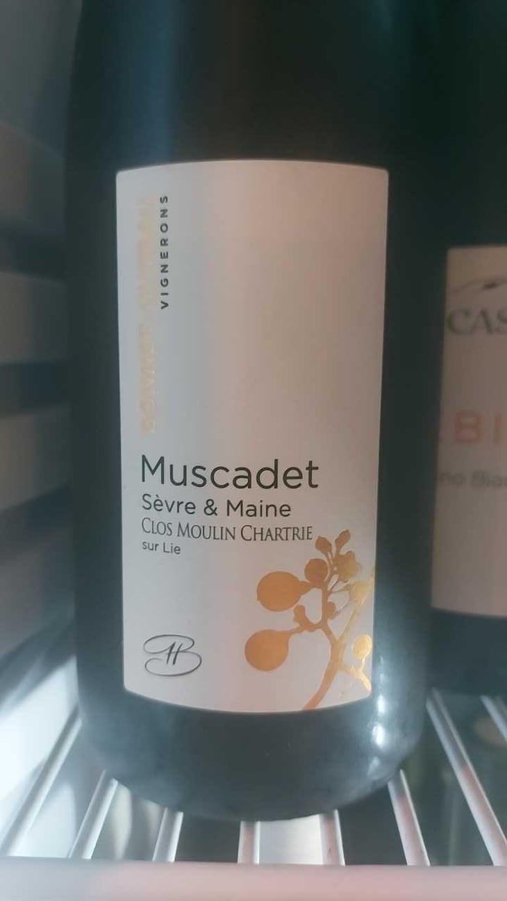 Les Dabinières - Domaine Bonnet-Huteau - Jean-Jacques Bonnet & Vincent Pineau 