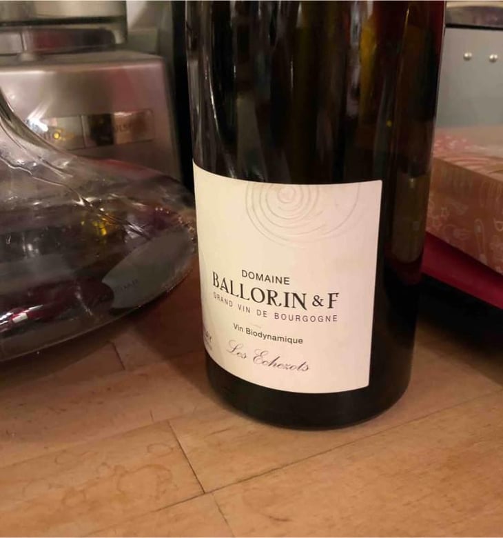 Les Echezots - Domaine Ballorin - Gilles Ballorin 