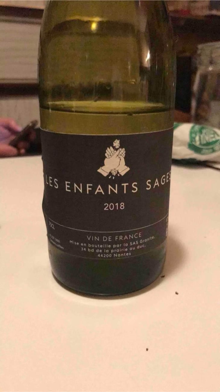 Les Enfants Sages - Bras de Fer Nantes - Benjamin & Nicolas Ferchaud 