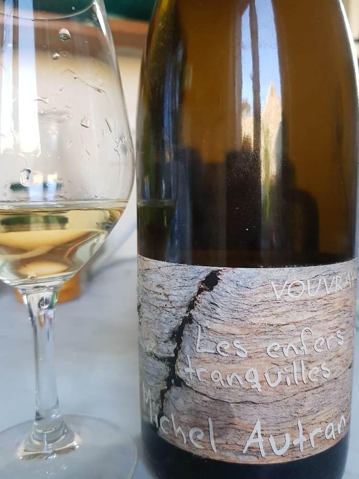 Les Enfers Tranquilles - Michel Autran - Michel Autran 