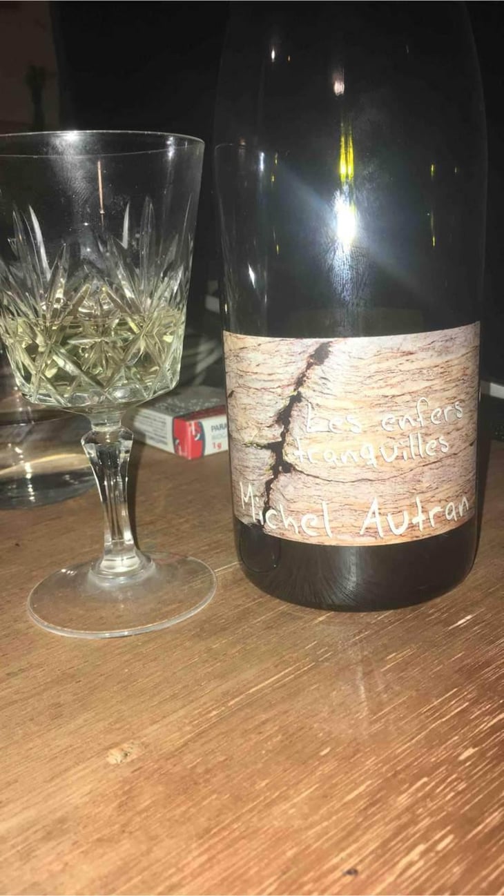 Les Enfers Tranquilles - Michel Autran - Michel Autran 