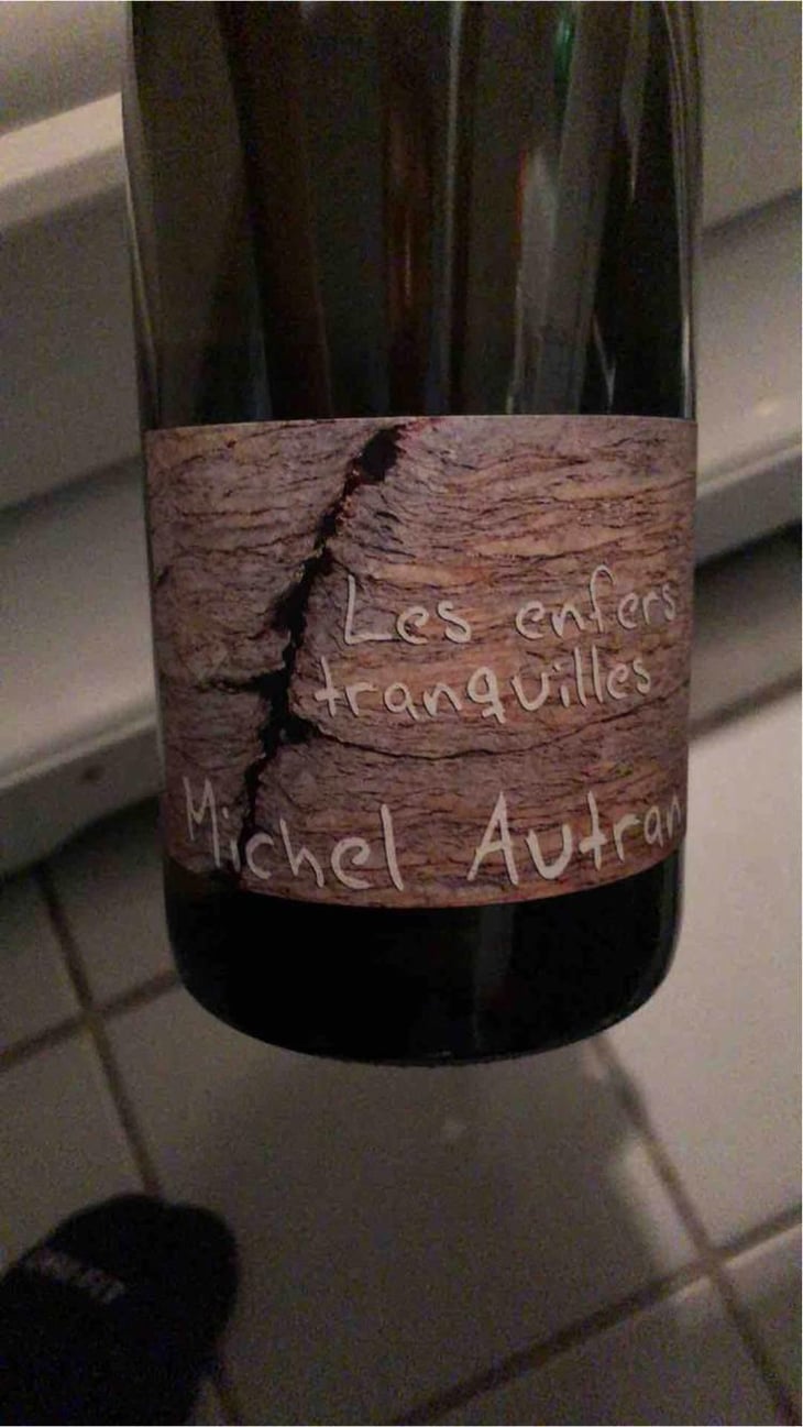Les Enfers Tranquilles - Michel Autran - Michel Autran 