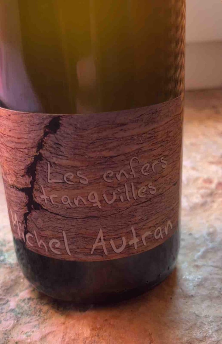 Les Enfers Tranquilles - Michel Autran - Michel Autran 