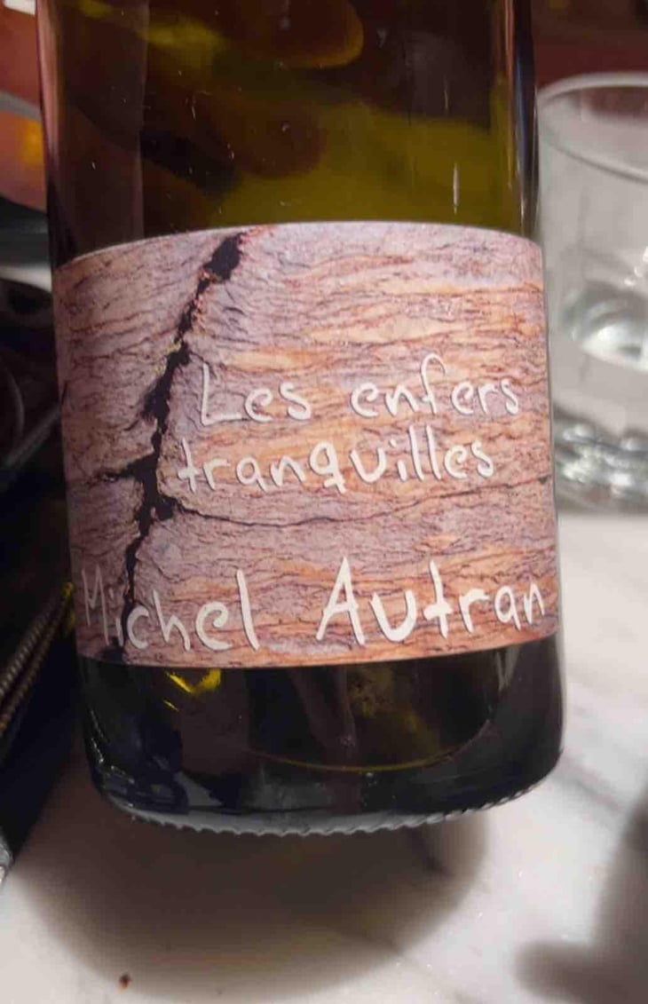 Les Enfers Tranquilles - Michel Autran - Michel Autran 