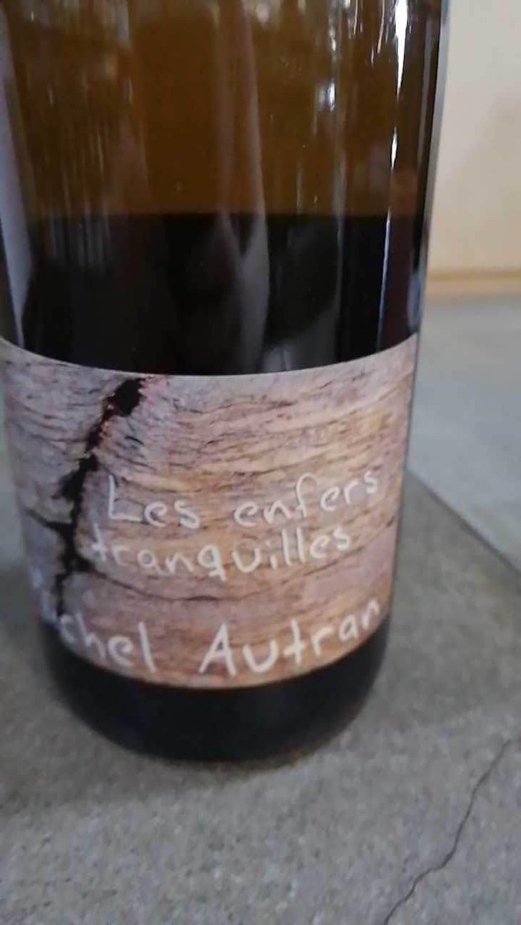 Les Enfers Tranquilles - Michel Autran - Michel Autran 