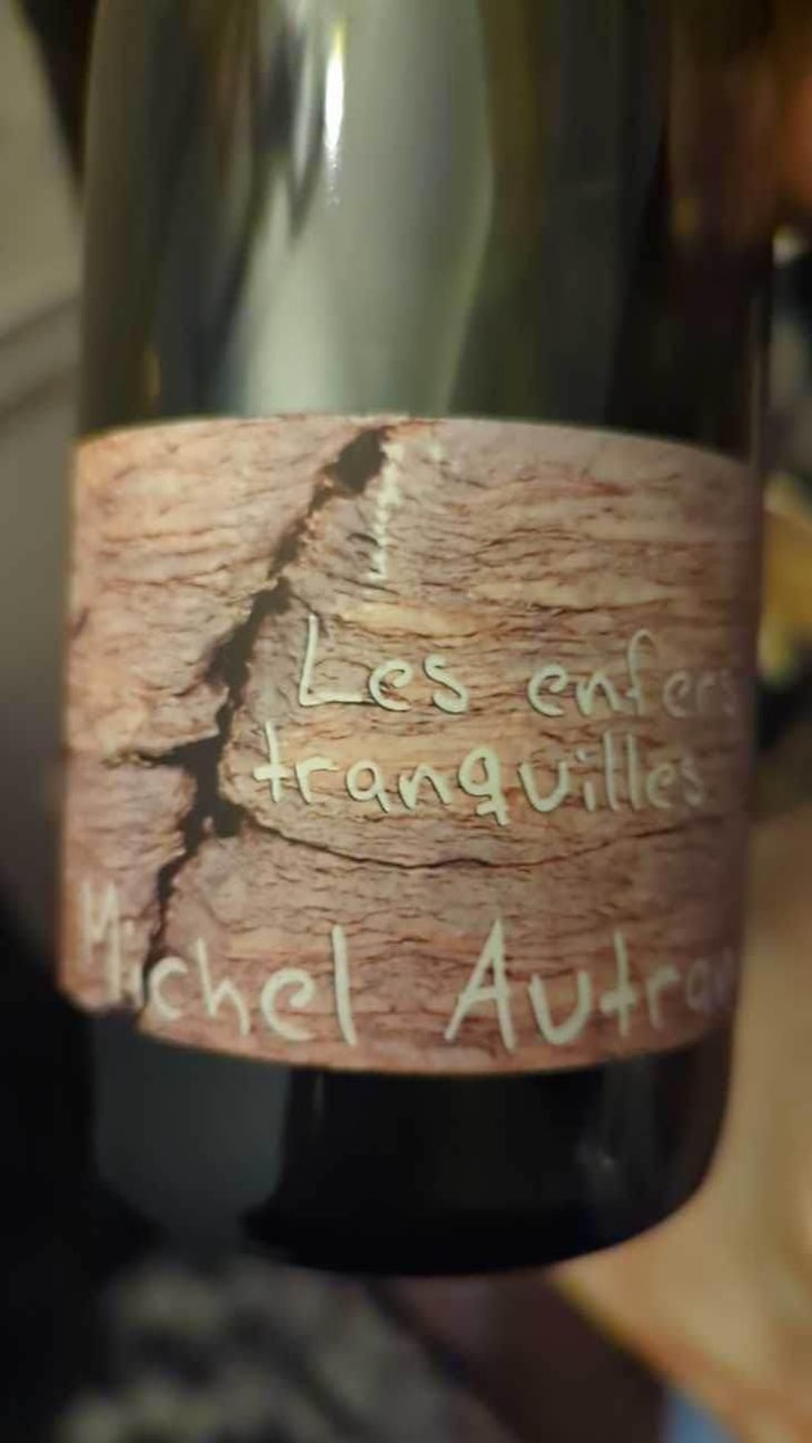 Les Enfers Tranquilles - Michel Autran - Michel Autran 